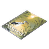 エバーグレーズ国立公園 | 水彩ストーク ノートブック (左側)