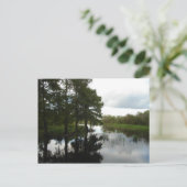 エバーグレーズ水路 ポストカード (スタンド正面)