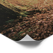 エバーモア |魅惑の森 |披露宴へようこそ ポスター (角)