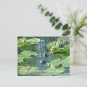 エバーレージズ国立公園からのご挨拶 ポストカード (スタンド正面)