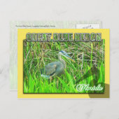 エバ素晴らしーグレーズ国立公園ブルーヘロン ポストカード (正面/裏面)