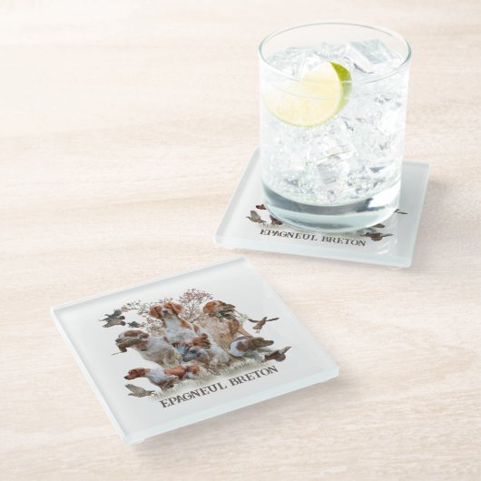 エパグヌールブレトンブリタニースパニエル犬 ガラスコースター (アングル)