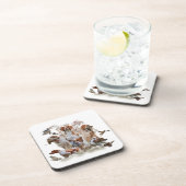 エパグヌールブレトンブリタニースパニエル犬 コースター (右側)