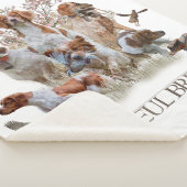 エパグヌールブレトンブリタニースパニエル犬 シェルパブランケット (3/4)