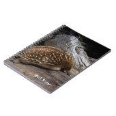 エヒドナオーストラリア ノートブック (左側)