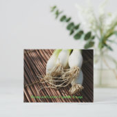 エビとガーデンベジタブルスキャンプ ポストカード (スタンド正面)