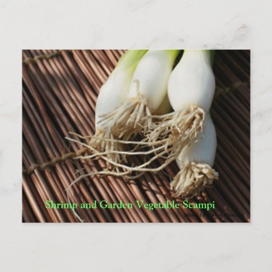 エビとガーデンベジタブルスキャンプ ポストカード (正面)