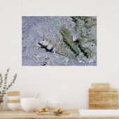 エビのゴビーとパートナー ポスター (キッチン)