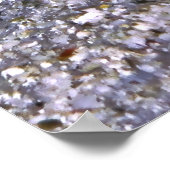 エビのゴビーモルディブ ポスター (角)