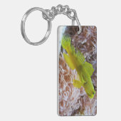 エビのゴビー キーホルダー (正面左)