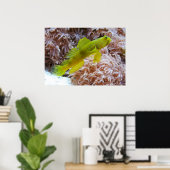 エビのゴビー ポスター (ホームオフィス)