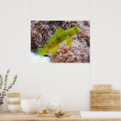 エビのゴビー ポスター (キッチン)