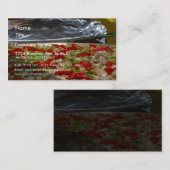 エビのパエリヤ鍋 名刺 (正面/裏面)