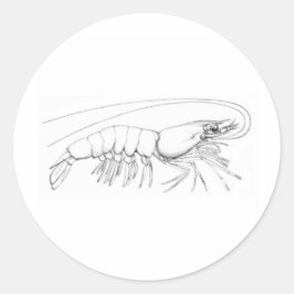 エビのロゴ ラウンドシール