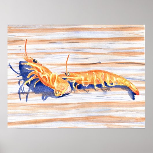 エビの水色波止場、魚釣り餌 ポスター (正面)