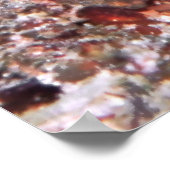 エビゴビーデュオ ポスター (角)