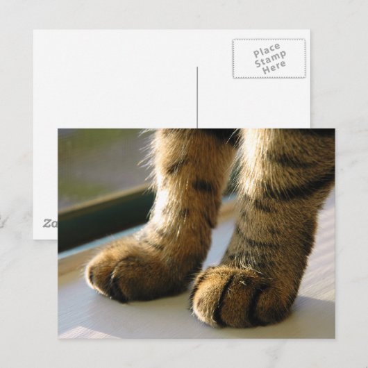 エビズ・ポーズ ポストカード (正面/裏面)