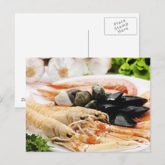 エビ及びムール貝 ポストカード (正面/裏面)