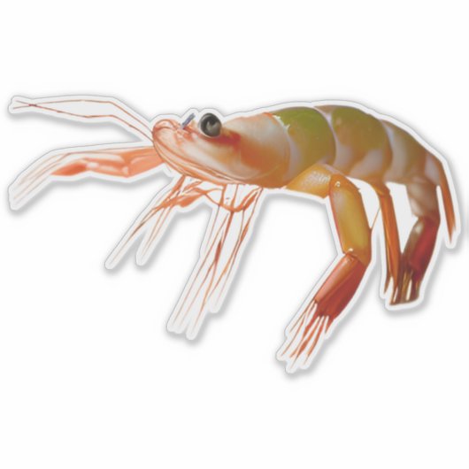 エビ小男タフ強 シール (正面)