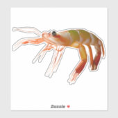 エビ小男タフ強 シール (シート)