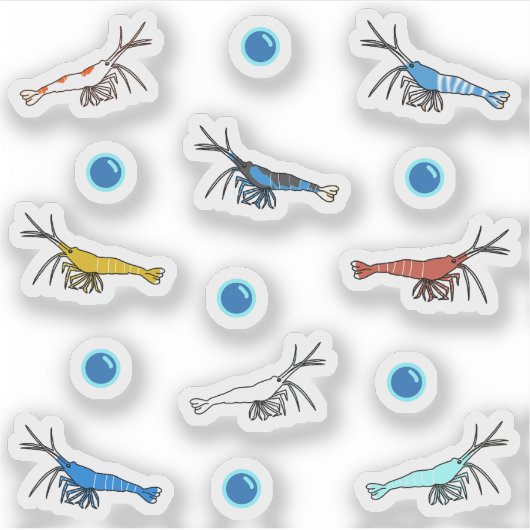 エビ シール (正面)