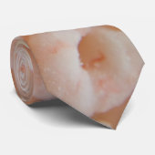 エビ ネクタイ (ロール)