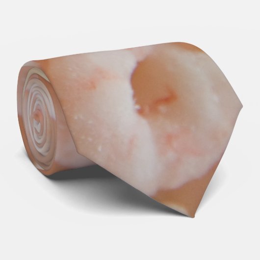 エビ ネクタイ (ロール)