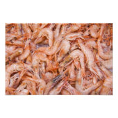 エビ フォトプリント            (正面)