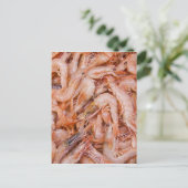 エビ ポストカード (スタンド正面)