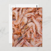 エビ ポストカード (正面/裏面)