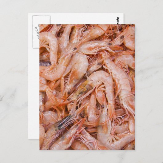 エビ ポストカード (正面/裏面)