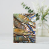 エビ ポストカード (スタンド正面)