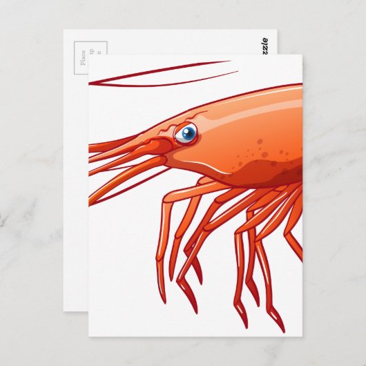 エビ ポストカード (正面/裏面)