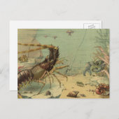 エビ, 水中の海の生物, ヴィンテージの海洋動物 ポストカード (正面/裏面)