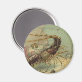 エビ, 水中の海の生物, ヴィンテージの海洋動物 マグネット (正面/裏面)