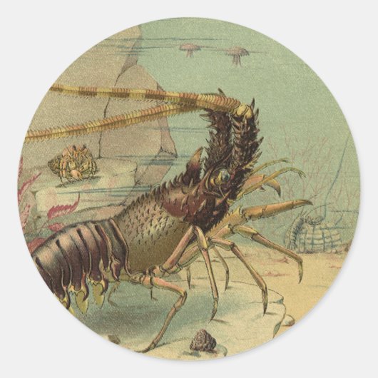 エビ、海中の生物、ヴィンテージの海洋動物 ラウンドシール (正面)