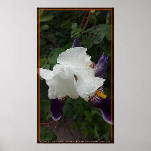 エピックフラワー1 ポスター (正面)