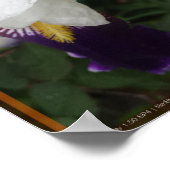 エピックフラワー2 ポスター (角)