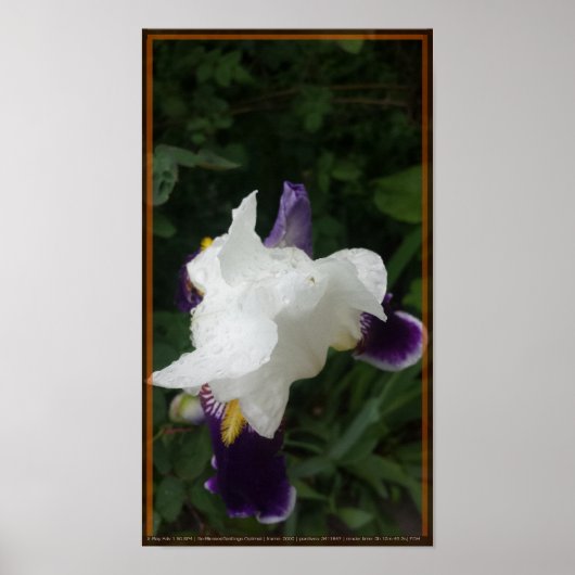 エピックフラワー2 ポスター (正面)