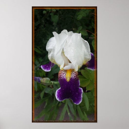 エピックフラワー3 ポスター (正面)