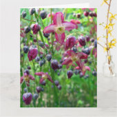 エピミディアムフラワーズビッグ誕生日カード カード (黄色い花)