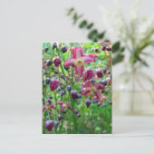 エピメディアの花 ポストカード (スタンド正面)