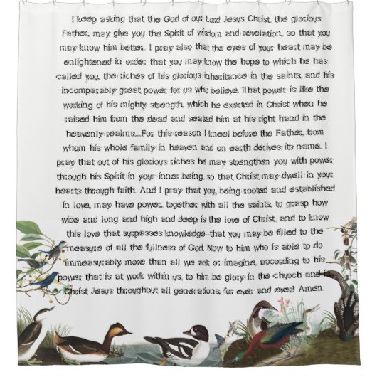 エフェシア人3鳥オードゥボン野生生物シャワーカーテン シャワーカーテン (正面)