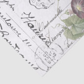 エフェフランスのメラモーニンググローリーフラワーズティッシュペーパー 薄葉紙 (詳細)