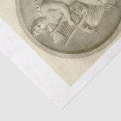 エフェメラデコパージュハーププレーヤー 薄葉紙 (詳細)