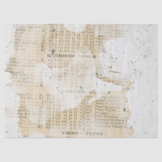 エフェメ動揺してラ紙シリーズデザイン3 薄葉紙 (正面)