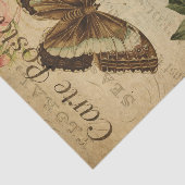 エフェメ絵画ラの蝶の毛虫の切り離 薄葉紙 (詳細)