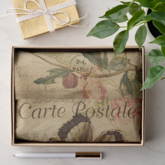 エフェメ絵画ラの蝶の毛虫の切り離 薄葉紙 (ギフト)