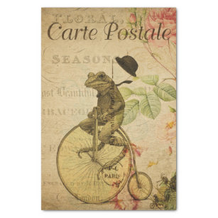 エフエマフランスのラカエル乗用自転車バラデコパージュ 薄葉紙