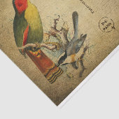 エフエマフランスのラハガキカラフルの鳥の分離 薄葉紙 (詳細)